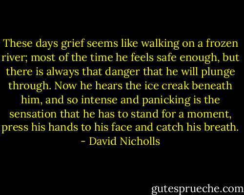 These days grief seems like walking on a frozen river; most of the time he feels safe enough, but there is always that danger that he will plunge through. Now he hears the ice creak beneath him, and so intense and panicking is the sensation that he has to stand for a moment, press his hands to his face and catch his breath. - David Nicholls