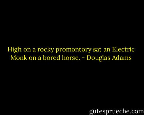 High on a rocky promontory sat an Electric Monk on a bored horse. - Douglas Adams