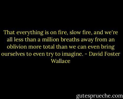 That everything is on fire, slow fire, and we're all less than a million breaths away from an oblivion more total than we can even bring ourselves to even try to imagine. - David Foster Wallace