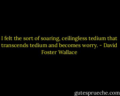 I felt the sort of soaring, ceilingless tedium that transcends tedium and becomes worry. - David Foster Wallace