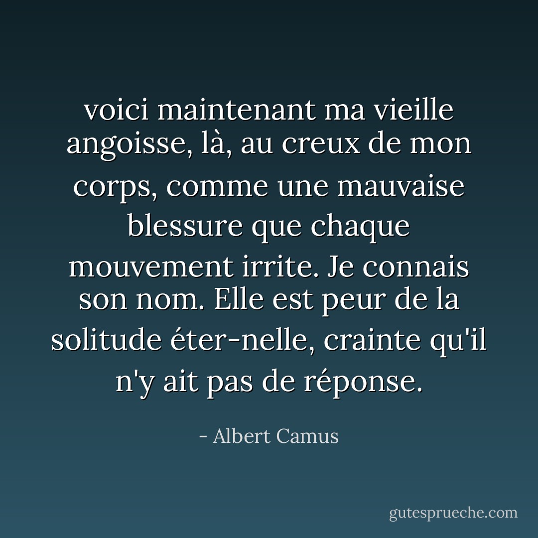 voici maintenant ma vieille angoisse, là, au creux de mon corps, comme une mauvaise blessure que chaque mouvement irrite. Je connais son nom. Elle est peur de la solitude éter-nelle, crainte qu'il n'y ait pas de réponse. - Albert Camus