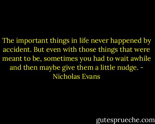 The important things in life never happened by accident. But even with those things that were meant to be, sometimes you had to wait awhile and then maybe give them a little nudge. - Nicholas Evans