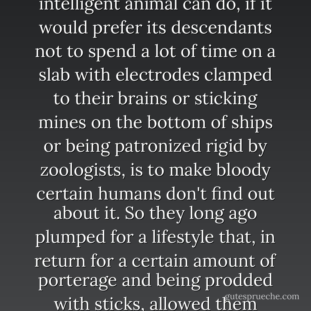 The fact is that camels are far more intelligent than dolphins. They are so much brighter that they soon realised that the most prudent thing any intelligent animal can do, if it would prefer its descendants not to spend a lot of time on a slab with electrodes clamped to their brains or sticking mines on the bottom of ships or being patronized rigid by zoologists, is to make bloody certain humans don't find out about it. So they long ago plumped for a lifestyle that, in return for a certain amount of porterage and being prodded with sticks, allowed them adequate food and grooming and the chance to spit in a human's eye and get away with it. - Terry Pratchett