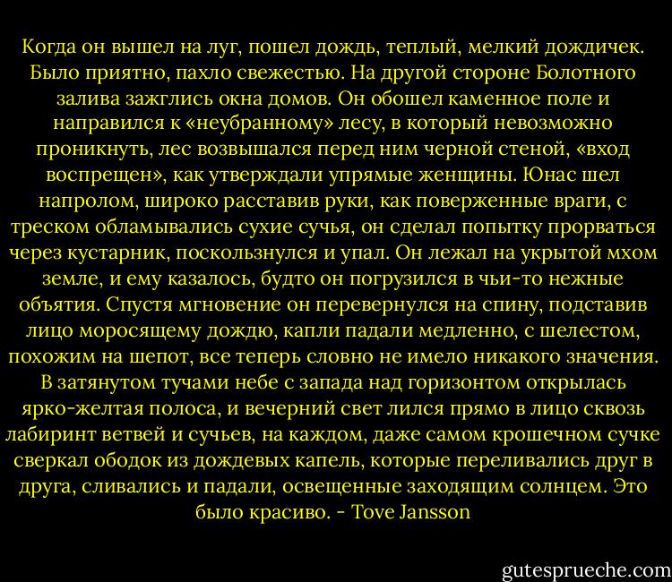 Когда он вышел на луг, пошел дождь, теплый, мелкий дождичек. Было приятно, пахло свежестью. На другой стороне Болотного залива зажглись окна домов. Он обошел каменное поле и направился к «неубранному» лесу, в который невозможно проникнуть, лес возвышался перед ним черной стеной, «вход воспрещен», как утверждали упрямые женщины. Юнас шел напролом, широко расставив руки, как поверженные враги, с треском обламывались сухие сучья, он сделал попытку прорваться через кустарник, поскользнулся и упал. Он лежал на укрытой мхом земле, и ему казалось, будто он погрузился в чьи-то нежные объятия. Спустя мгновение он перевернулся на спину, подставив лицо моросящему дождю, капли падали медленно, с шелестом, похожим на шепот, все теперь словно не имело никакого значения. В затянутом тучами небе с запада над горизонтом открылась ярко-желтая полоса, и вечерний свет лился прямо в лицо сквозь лабиринт ветвей и сучьев, на каждом, даже самом крошечном сучке сверкал ободок из дождевых капель, которые переливались друг в друга, сливались и падали, освещенные заходящим солнцем. Это было красиво. - Tove Jansson