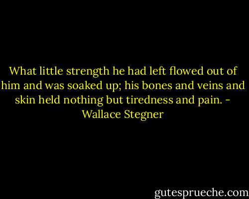 What little strength he had left flowed out of him and was soaked up; his bones and veins and skin held nothing but tiredness and pain. - Wallace Stegner