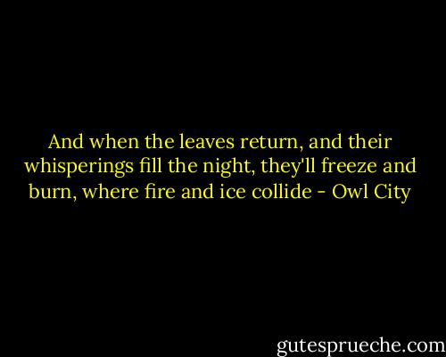 And when the leaves return, and their whisperings fill the night, they'll freeze and burn, where fire and ice collide - Owl City