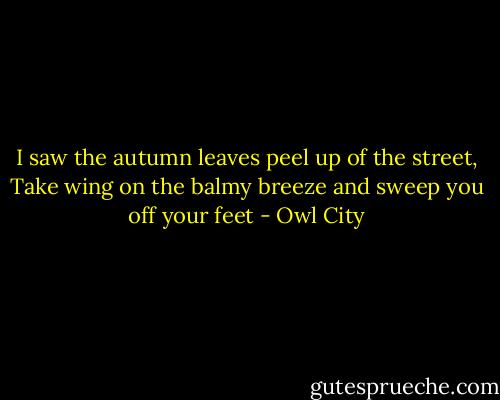 I saw the autumn leaves peel up of the street, Take wing on the balmy breeze and sweep you off your feet - Owl City