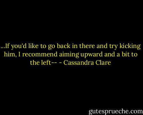 ...If you'd like to go back in there and try kicking him, I recommend aiming upward and a bit to the left-- - Cassandra Clare