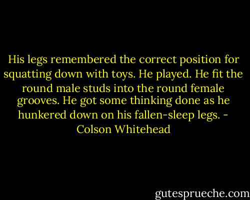 His legs remembered the correct position for squatting down with toys. He played. He fit the round male studs into the round female grooves. He got some thinking done as he hunkered down on his fallen-sleep legs. - Colson Whitehead