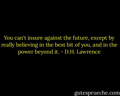 You can't insure against the future, except by really believing in the best bit of you, and in the power beyond it. - D.H. Lawrence