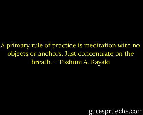 A primary rule of practice is meditation with no objects or anchors. Just concentrate on the breath. - Toshimi A. Kayaki