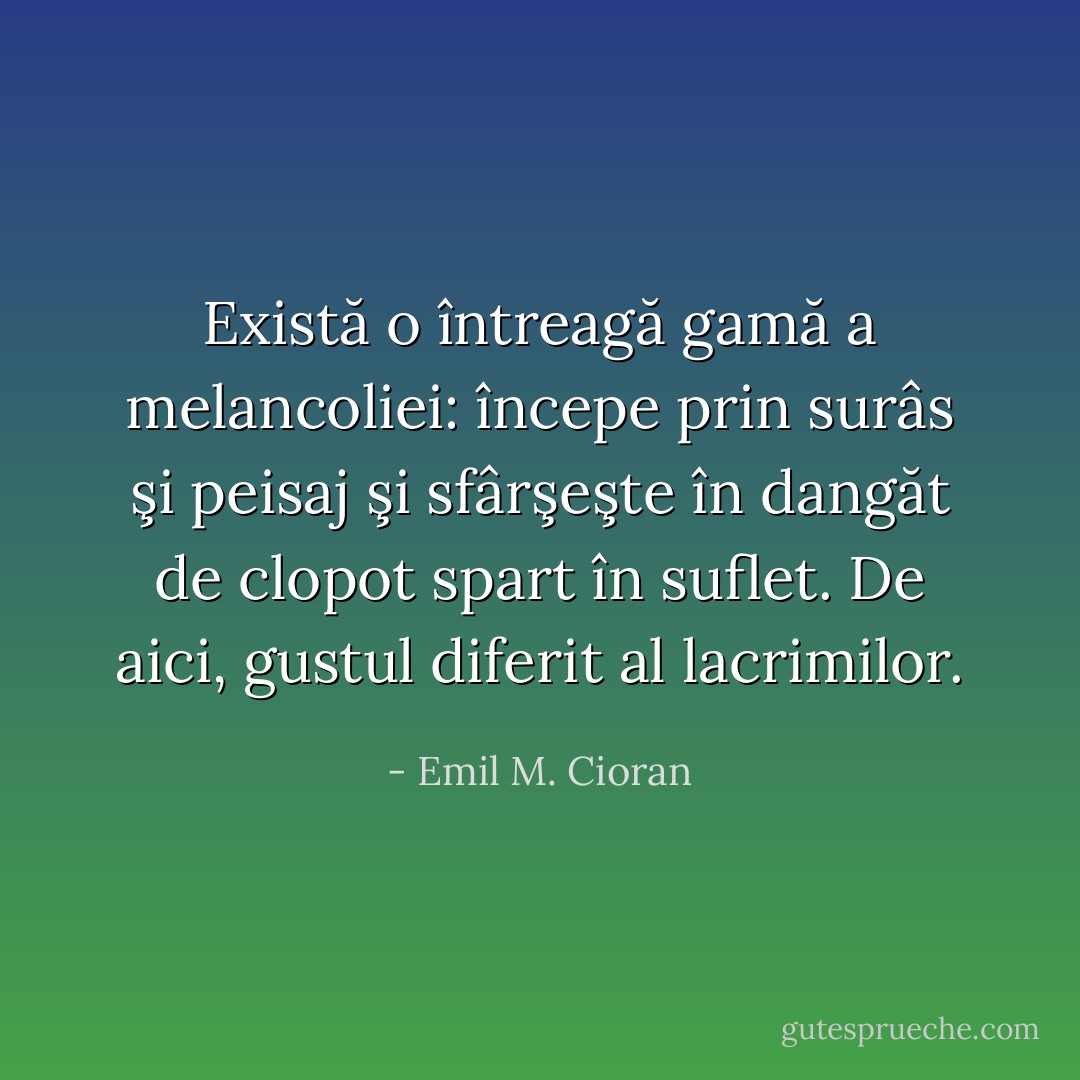 Există o întreagă gamă a melancoliei: începe prin surâs şi peisaj şi sfârşeşte în dangăt de clopot spart în suflet. De aici, gustul diferit al lacrimilor. - Emil M. Cioran
