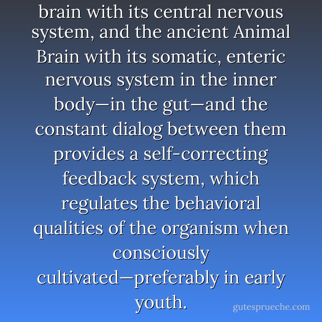The combination of the Main brain with its central nervous system, and the ancient Animal Brain with its somatic, enteric nervous system in the inner body—in the gut—and the constant dialog between them provides a self-correcting feedback system, which regulates the behavioral qualities of the organism when consciously cultivated—preferably in early youth. - Martha Char Love