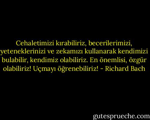 Cehaletimizi kırabiliriz, becerilerimizi, yeteneklerinizi ve zekamızı kullanarak kendimizi bulabilir, kendimiz olabiliriz. En önemlisi, özgür olabiliriz! Uçmayı öğrenebiliriz! - Richard Bach