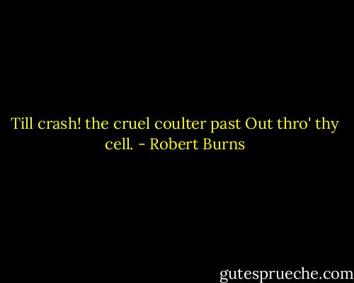 Till crash! the cruel coulter past<br />Out thro' thy cell. - Robert Burns