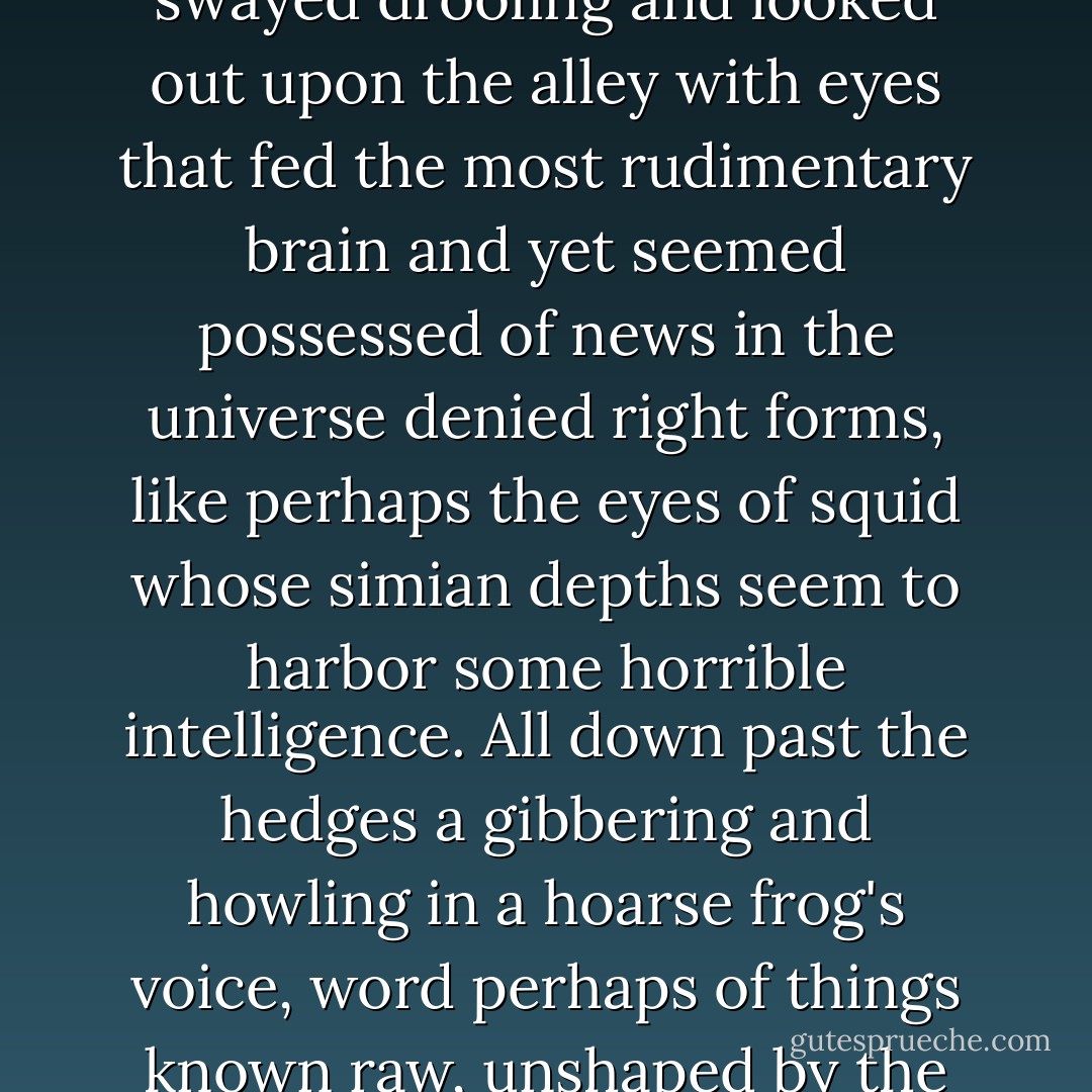 He saw an idiot in a yard in a leather harness chained to a clothesline and it leaned and swayed drooling and looked out upon the alley with eyes that fed the most rudimentary brain and yet seemed possessed of news in the universe denied right forms, like perhaps the eyes of squid whose simian depths seem to harbor some horrible intelligence. All down past the hedges a gibbering and howling in a hoarse frog's voice, word perhaps of things known raw, unshaped by the constructions of a mind obsessed with form. - Cormac McCarthy