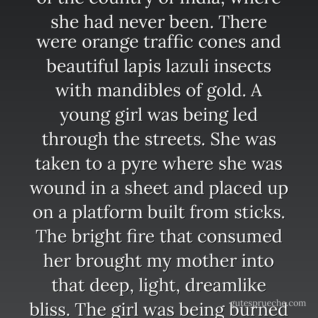 That night my mother had what she considered a wonderful dream. She dreamed of the country of India, where she had never been. There were orange traffic cones and beautiful lapis lazuli insects with mandibles of gold. A young girl was being led through the streets. She was taken to a pyre where she was wound in a sheet and placed up on a platform built from sticks. The bright fire that consumed her brought my mother into that deep, light, dreamlike bliss. The girl was being burned alive, but, first, there had been her body, clean and whole. - Alice Sebold