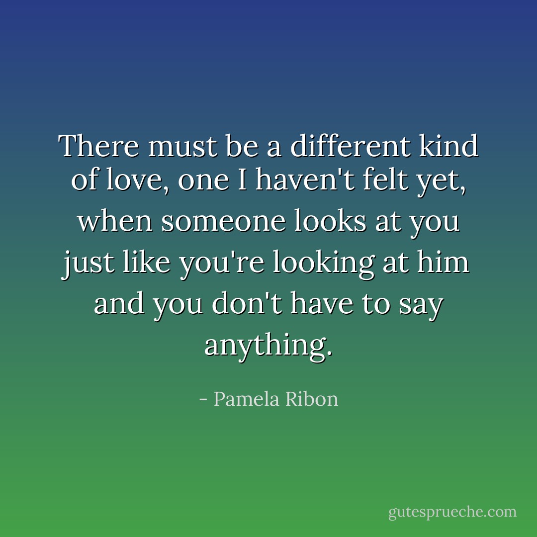 There must be a different kind of love, one I haven't felt yet, when someone looks at you just like you're looking at him and you don't have to say anything. - Pamela Ribon