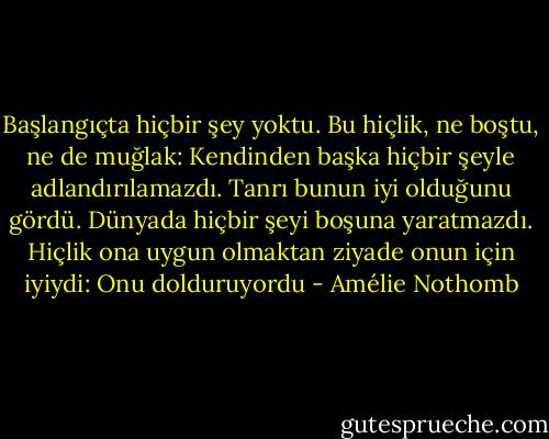 Başlangıçta hiçbir şey yoktu. Bu hiçlik, ne boştu, ne de muğlak: Kendinden başka hiçbir şeyle adlandırılamazdı. Tanrı bunun iyi olduğunu gördü. Dünyada hiçbir şeyi boşuna yaratmazdı. Hiçlik ona uygun olmaktan ziyade onun için iyiydi: Onu dolduruyordu - Amélie Nothomb