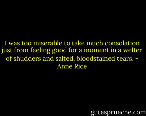 I was too miserable to take much consolation just from feeling good for a moment in a welter of shudders and salted, bloodstained tears. - Anne Rice