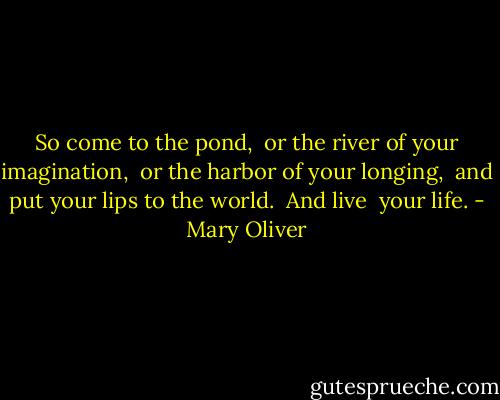 So come to the pond,<br /> or the river of your imagination,<br /> or the harbor of your longing,<br /><br />and put your lips to the world.<br /><br />And live<br /> your life. - Mary Oliver