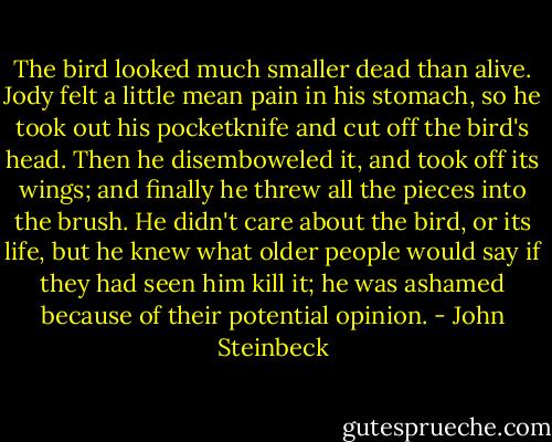 The bird looked much smaller dead than alive. Jody felt a little mean pain in his stomach, so he took out his pocketknife and cut off the bird's head. Then he disemboweled it, and took off its wings; and finally he threw all the pieces into the brush. He didn't care about the bird, or its life, but he knew what older people would say if they had seen him kill it; he was ashamed because of their potential opinion. - John Steinbeck