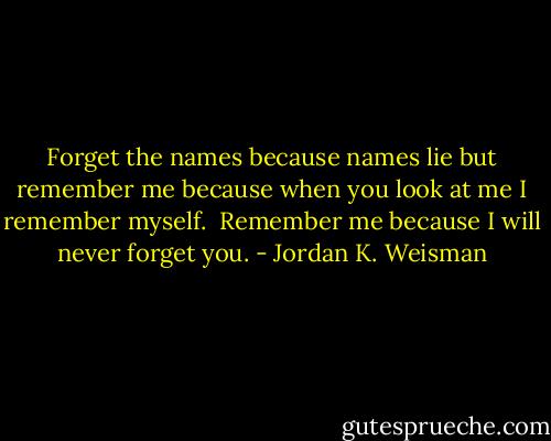 Forget the names because names lie but remember me because when you look at me I remember myself.<br /><br />Remember me because I will never forget you. - Jordan K. Weisman