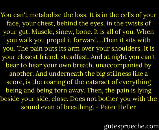 You can't metabolize the loss. It is in the cells of your face, your chest, behind the eyes, in the twists of your gut. Muscle, sinew, bone. It is all of you. When you walk you propel it forward....Then it sits with you. The pain puts its arm over your shoulders. It is your closest friend, steadfast. And at night you can't bear to hear your own breath, unaccompanied by another. And underneath the big stillness like a score, is the roaring of the cataract of everything being and being torn away. Then, the pain is lying beside your side, close. Does not bother you with the sound even of breathing. - Peter Heller