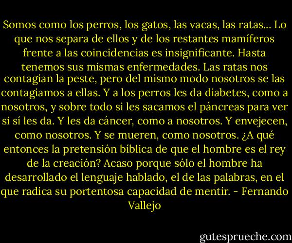 Somos como los perros, los gatos, las vacas, las ratas... Lo que nos separa de ellos y de los restantes mamíferos frente a las coincidencias es insignificante. Hasta tenemos sus mismas enfermedades. Las ratas nos contagian la peste, pero del mismo modo nosotros se las contagiamos a ellas. Y a los perros les da diabetes, como a nosotros, y sobre todo si les sacamos el páncreas para ver si sí les da. Y les da cáncer, como a nosotros. Y envejecen, como nosotros. Y se mueren, como nosotros. ¿A qué entonces la pretensión bíblica de que el hombre es el rey de la creación? Acaso porque sólo el hombre ha desarrollado el lenguaje hablado, el de las palabras, en el que radica su portentosa capacidad de mentir. - Fernando Vallejo