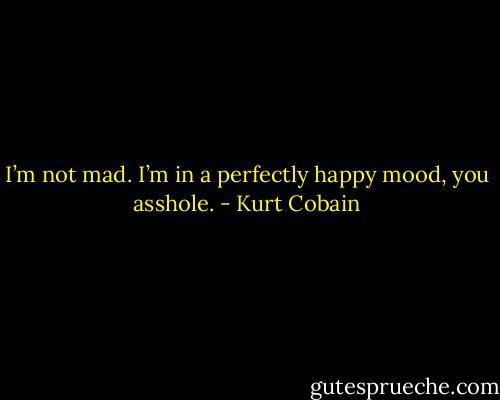 I’m not mad. I’m in a perfectly happy mood, you asshole. - Kurt Cobain