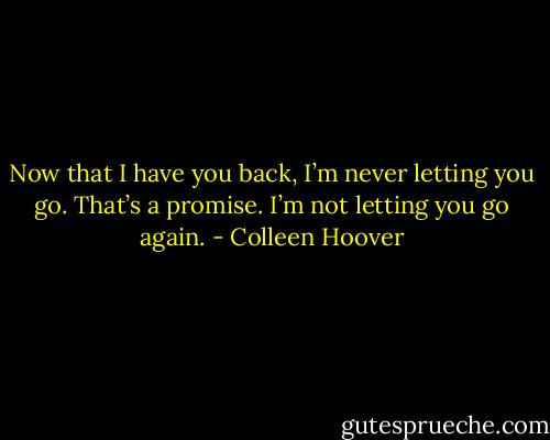 Now that I have you back, I’m never letting you go. That’s a promise. I’m not letting you go again. - Colleen Hoover