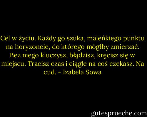 Cel w życiu. Każdy go szuka, maleńkiego punktu na horyzoncie, do którego mógłby zmierzać. Bez niego kluczysz, błądzisz, kręcisz się w miejscu. Tracisz czas i ciągle na coś czekasz. Na cud. - Izabela Sowa