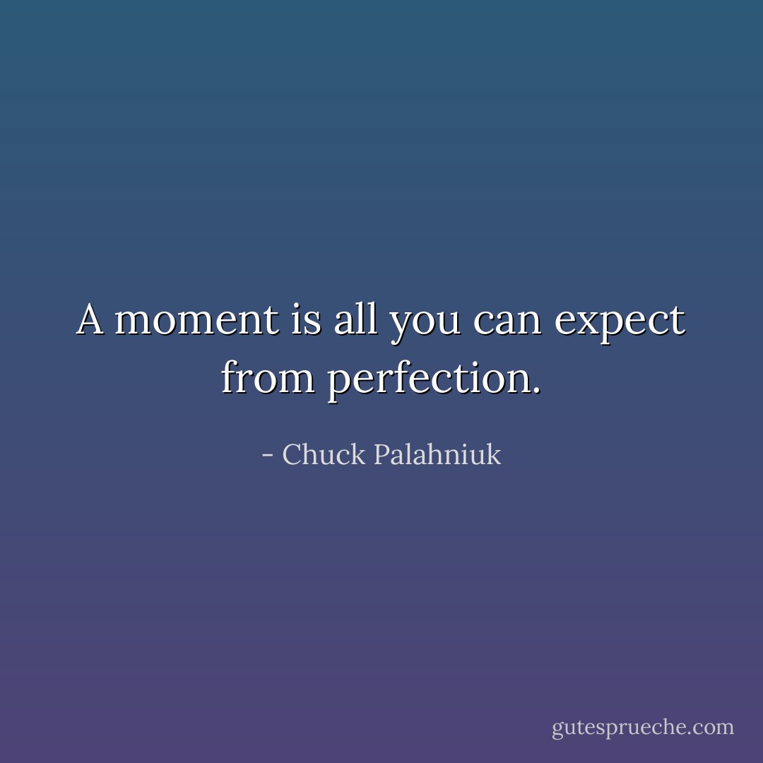 A moment is all you can expect from perfection. - Chuck Palahniuk