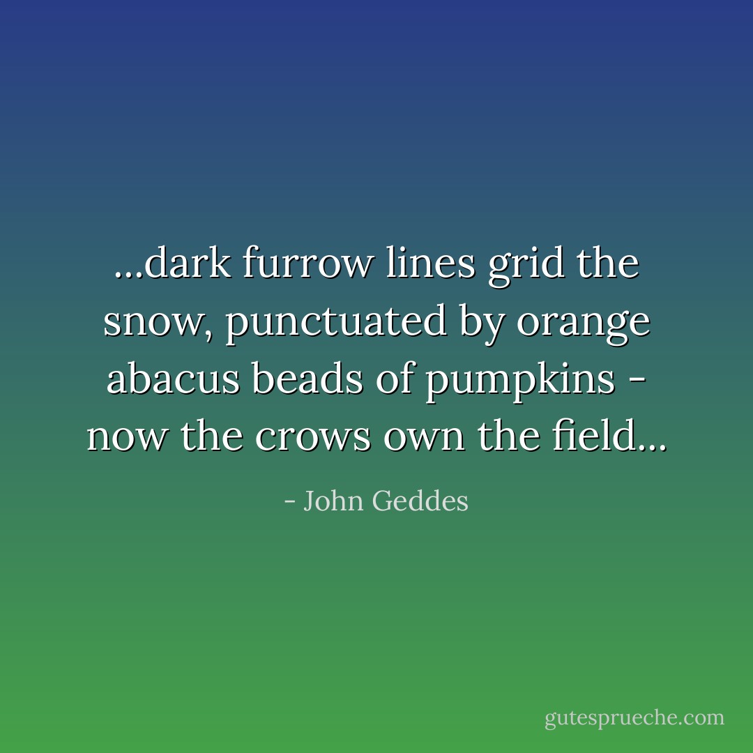 ...dark furrow lines grid the snow, punctuated by orange abacus beads of pumpkins - now the crows own the field... - John Geddes