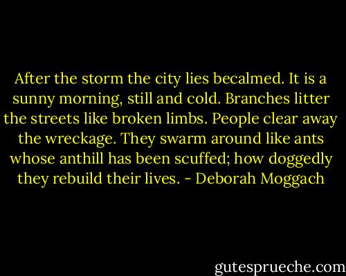 After the storm the city lies becalmed. It is a sunny morning, still and cold. Branches litter the streets like broken limbs. People clear away the wreckage. They swarm around like ants whose anthill has been scuffed; how doggedly they rebuild their lives. - Deborah Moggach