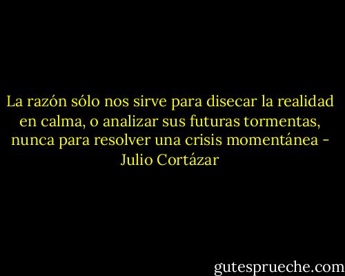 La razón sólo nos sirve para disecar la realidad en calma, o analizar sus futuras tormentas, nunca para resolver una crisis momentánea - Julio Cortázar