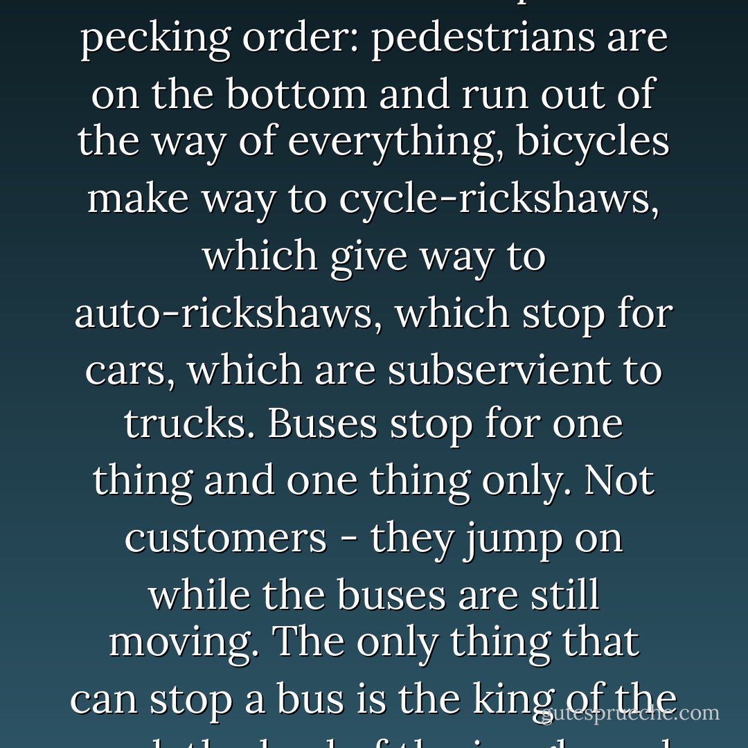 Mild-mannered Abe, however, is Tarzan of the traffic jungle. He knows the strict species pecking order: pedestrians are on the bottom and run out of the way of everything, bicycles make way to cycle-rickshaws, which give way to auto-rickshaws, which stop for cars, which are subservient to trucks. Buses stop for one thing and one thing only. Not customers - they jump on while the buses are still moving. The only thing that can stop a bus is the king of the road, the lord of the jungle and the top dog.<br /><br />The holy cow. - Sarah Macdonald