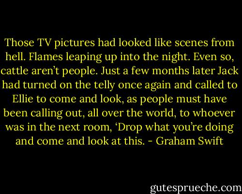 Those TV pictures had looked like scenes from hell. Flames leaping up into the night. Even so, cattle aren’t people. Just a few months later Jack had turned on the telly once again and called to Ellie to come and look, as people must have been calling out, all over the world, to whoever was in the next room, ‘Drop what you’re doing and come and look at this. - Graham Swift