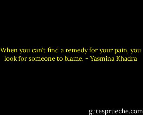 When you can't find a remedy for your pain, you look for someone to blame. - Yasmina Khadra
