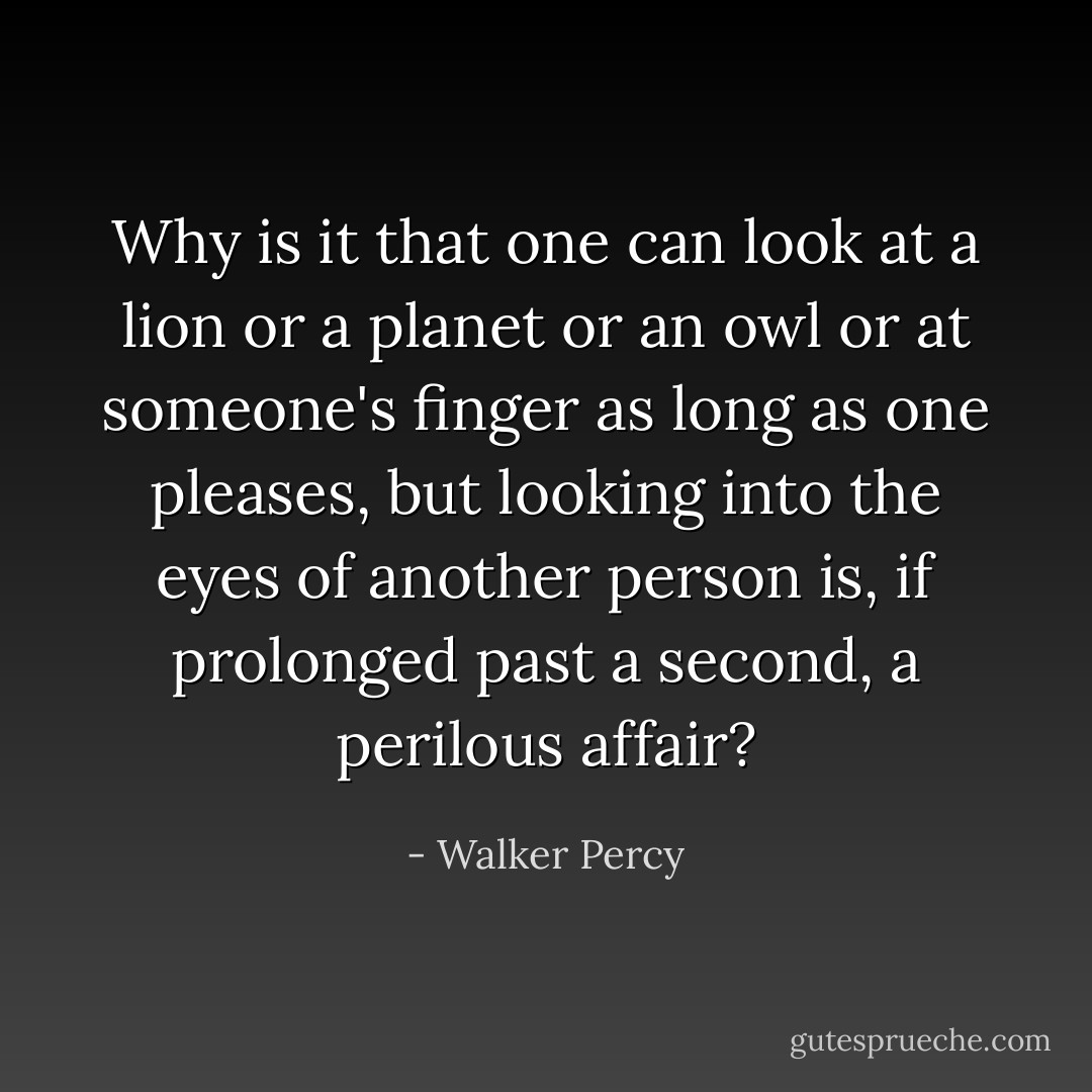 Why is it that one can look at a lion or a planet or an owl or at someone's finger as long as one pleases, but looking into the eyes of another person is, if prolonged past a second, a perilous affair? - Walker Percy