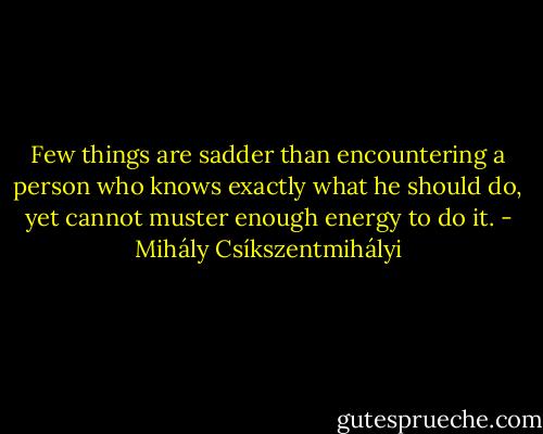 Few things are sadder than encountering a person who knows exactly what he should do, yet cannot muster enough energy to do it. - Mihály Csíkszentmihályi