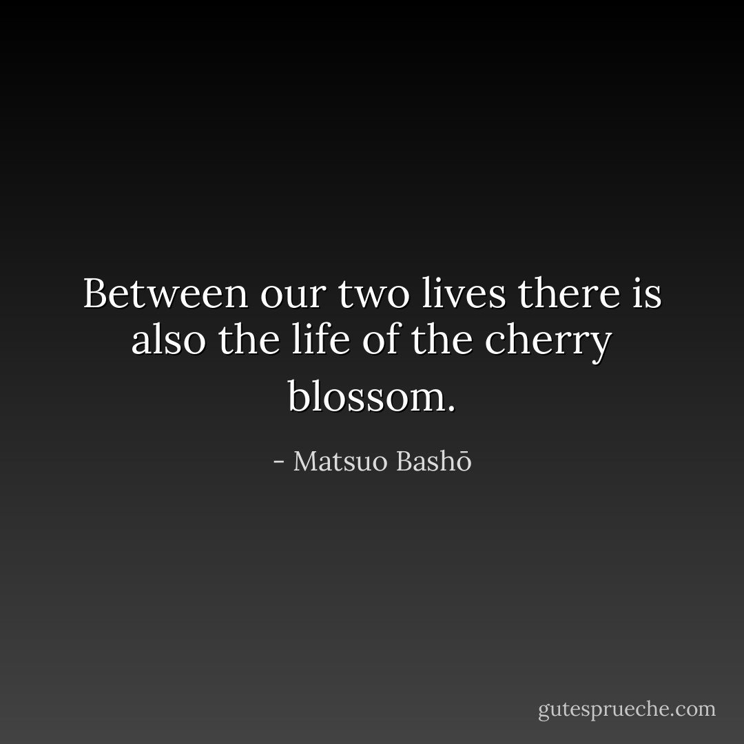 Between our two lives<br />there is also the life of<br />the cherry blossom. - Matsuo Bashō