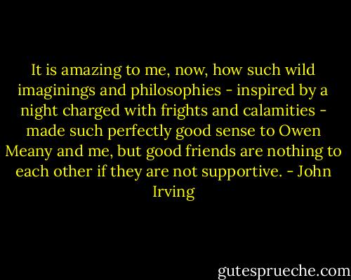 It is amazing to me, now, how such wild imaginings and philosophies - inspired by a night charged with frights and calamities - made such perfectly good sense to Owen Meany and me, but good friends are nothing to each other if they are not supportive. - John Irving