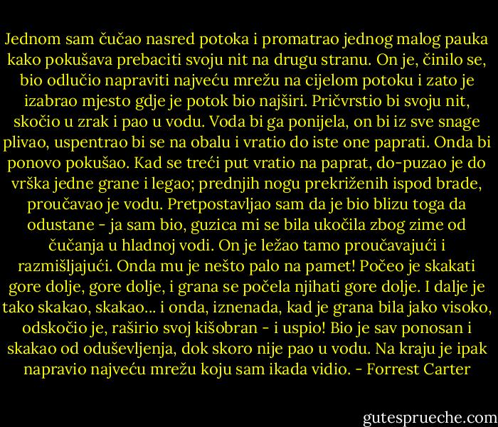 Jednom sam čučao nasred potoka i promatrao jednog malog pauka kako pokušava prebaciti svoju nit na drugu stranu. On je, činilo se, bio odlučio napraviti najveću mrežu na cijelom potoku i zato je izabrao mjesto gdje je potok bio najširi. Pričvrstio bi svoju nit, skočio u zrak i pao u vodu. Voda bi ga ponijela, on bi iz sve snage plivao, uspentrao bi se na obalu i vratio do iste one paprati. Onda bi ponovo pokušao. Kad se treći put vratio na paprat, do-puzao je do vrška jedne grane i legao; prednjih nogu prekriženih ispod brade, proučavao je vodu. Pretpostavljao sam da je bio blizu toga da odustane - ja sam bio, guzica mi se bila ukočila zbog zime od čučanja u hladnoj vodi. On je ležao tamo proučavajući i razmišljajući. Onda mu je nešto palo na pamet! Počeo je skakati gore dolje, gore dolje, i grana se počela njihati gore dolje. I dalje je tako skakao, skakao... i onda, iznenada, kad je grana bila jako visoko, odskočio je, raširio svoj kišobran - i uspio!<br />Bio je sav ponosan i skakao od oduševljenja, dok skoro nije pao u vodu. Na kraju je ipak napravio najveću mrežu koju sam ikada vidio. - Forrest Carter
