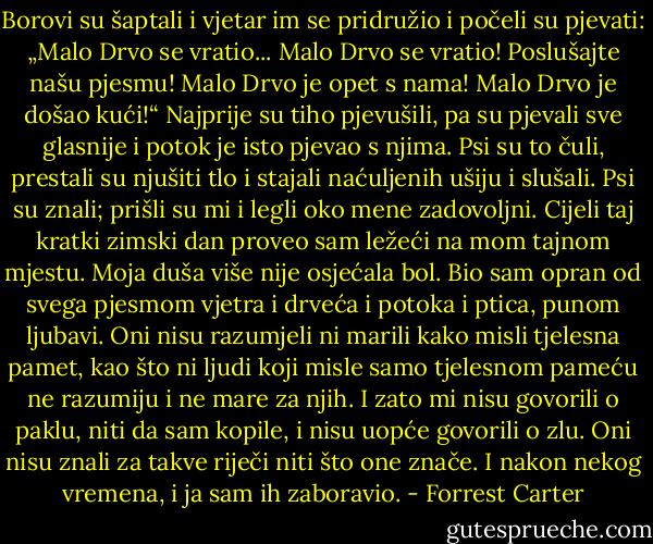 Borovi su šaptali i vjetar im se pridružio i počeli su pjevati: „Malo Drvo se vratio... Malo Drvo se vratio! Poslušajte našu pjesmu! Malo Drvo je opet s nama! Malo Drvo je došao kući!“<br />Najprije su tiho pjevušili, pa su pjevali sve glasnije i potok je isto pjevao s njima. Psi su to čuli, prestali su njušiti tlo i stajali naćuljenih ušiju i slušali. Psi su znali; prišli su mi i legli oko mene zadovoljni.<br />Cijeli taj kratki zimski dan proveo sam ležeći na mom tajnom mjestu.<br />Moja duša više nije osjećala bol. Bio sam opran od svega pjesmom vjetra i drveća i potoka i ptica, punom ljubavi. Oni nisu razumjeli ni marili kako misli tjelesna pamet, kao što ni ljudi koji misle samo tjelesnom pameću ne razumiju i ne mare za njih. I zato mi nisu govorili o paklu, niti da sam kopile, i nisu uopće govorili o zlu. Oni nisu znali za takve riječi niti što one znače. I nakon nekog vremena, i ja sam ih zaboravio. - Forrest Carter