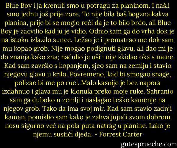 Blue Boy i ja krenuli smo u potragu za planinom. I našli smo jednu još prije zore. To nije bila baš bogzna kakva planina, prije bi se moglo reći da je to bilo brdo, ali Blue Boy je zacvilio kad ju je vidio.<br />Odnio sam ga do vrha dok je na istoku izlazilo sunce. Ležao je i promatrao me dok sam mu kopao grob. Nije mogao podignuti glavu, ali dao mi je do znanja kako zna; naćulio je uši i nije skidao oka s mene.<br />Kad sam završio s kopanjem, sjeo sam na zemlju i stavio njegovu glavu u krilo. Povremeno, kad bi smogao snage, polizao bi me po ruci.<br />Malo kasnije je bez napora izdahnuo i glava mu je klonula preko moje ruke. Sahranio sam ga duboko u zemlji i naslagao teško kamenje na njegov grob. Tako da ima svoj mir.<br />Kad sam stavio zadnji kamen, pomislio sam kako je zahvaljujući svom dobrom nosu sigurno već na pola puta natrag u planine.<br />Lako je njemu sustići djeda. - Forrest Carter