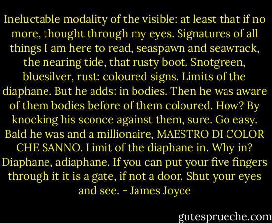 Ineluctable modality of the visible: at least that if no more, thought through my eyes. Signatures of all things I am here to read, seaspawn and seawrack, the nearing tide, that rusty boot. Snotgreen, bluesilver, rust: coloured signs. Limits of the diaphane. But he adds: in bodies. Then he was aware of them bodies before of them coloured. How? By knocking his sconce against them, sure. Go easy. Bald he was and a millionaire, MAESTRO<br />DI COLOR CHE SANNO. Limit of the diaphane in. Why in? Diaphane, adiaphane. If you can put your five fingers through it it is a gate, if not a door. Shut your eyes and see. - James Joyce
