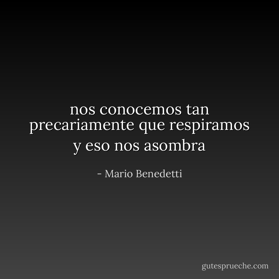 nos conocemos tan precariamente<br />que respiramos y eso nos asombra - Mario Benedetti