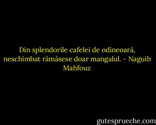 Din splendorile cafelei de odineoară, neschimbat rămăsese doar mangalul. - Naguib Mahfouz