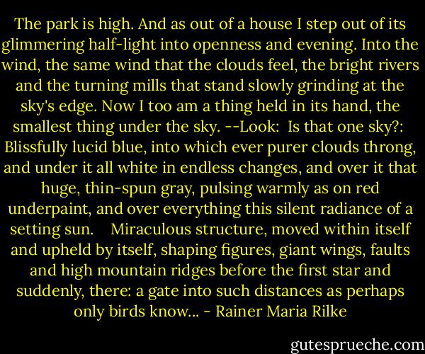 The park is high. And as out of a house<br />I step out of its glimmering half-light<br />into openness and evening. Into the wind,<br />the same wind that the clouds feel,<br />the bright rivers and the turning mills<br />that stand slowly grinding at the sky's edge.<br />Now I too am a thing held in its hand,<br />the smallest thing under the sky. --Look:<br /><br />Is that one sky?:<br /> Blissfully lucid blue,<br />into which ever purer clouds throng,<br />and under it all white in endless changes,<br />and over it that huge, thin-spun gray,<br />pulsing warmly as on red underpaint,<br />and over everything this silent radiance<br />of a setting sun. <br /><br /> Miraculous structure,<br />moved within itself and upheld by itself,<br />shaping figures, giant wings, faults<br />and high mountain ridges before the first star<br />and suddenly, there: a gate into such<br />distances as perhaps only birds know... - Rainer Maria Rilke